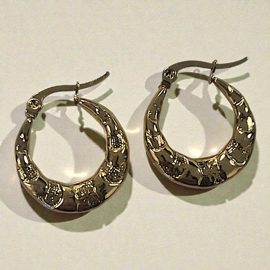 2.5cm Hoop Earrings