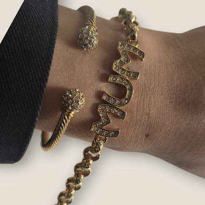 Dream Duo - Cz Belcher & Ball Bangle