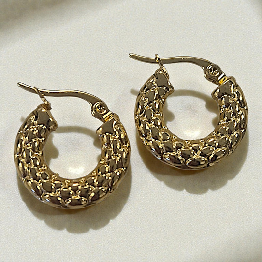 2.5cm Hoop Earrings