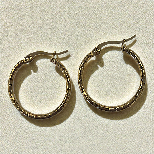 2.5cm Hoop Earrings