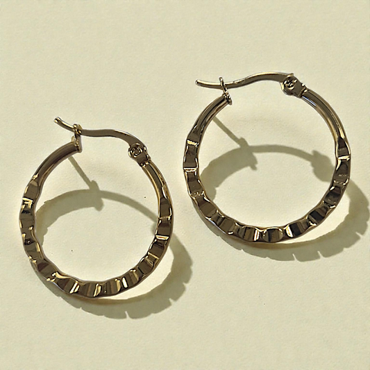 2.5cm Hoop Earrings